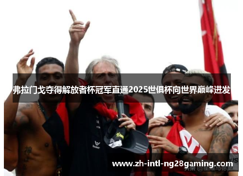 弗拉门戈夺得解放者杯冠军直通2025世俱杯向世界巅峰进发 弗拉门戈夺得解放者杯冠军直通2025世俱杯向世界巅峰进发